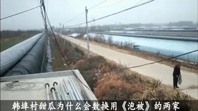 青島風全溫室配套有限公司